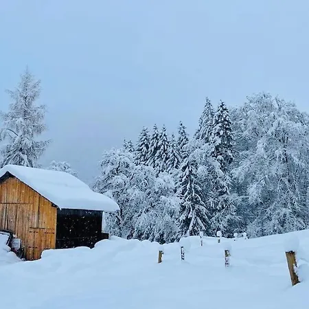 Le De Bemont Samoëns