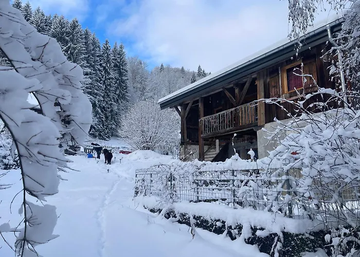 Le De Bemont Samoëns
