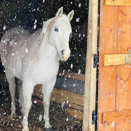 Le De Bemont * Samoëns