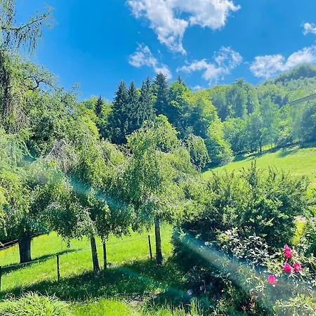 Holiday home Le De Bemont