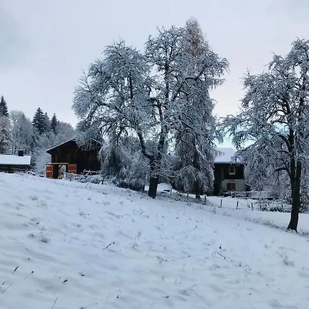 Le De Bemont Holiday home Samoens